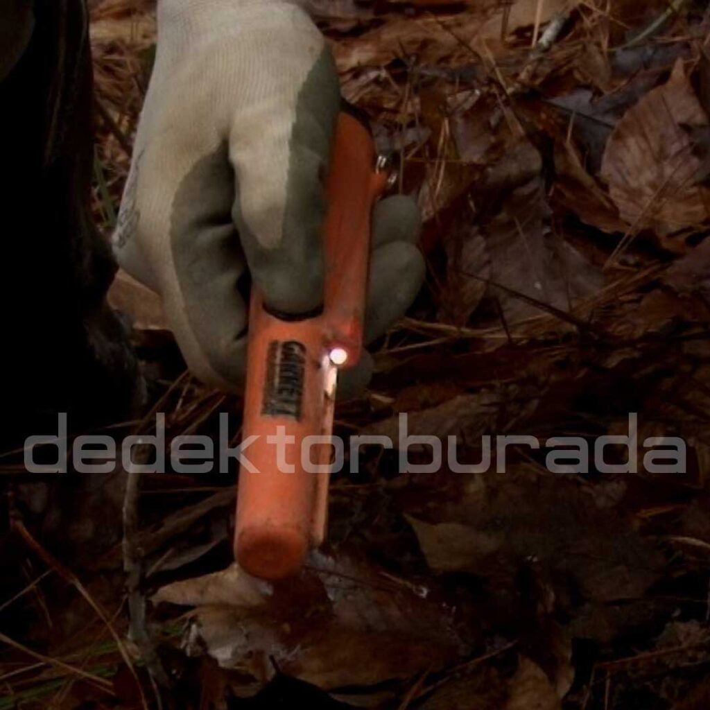 Db Pro Pointer Pro Pointer AT Dedektör - Metal Dedektör Çeşitleri